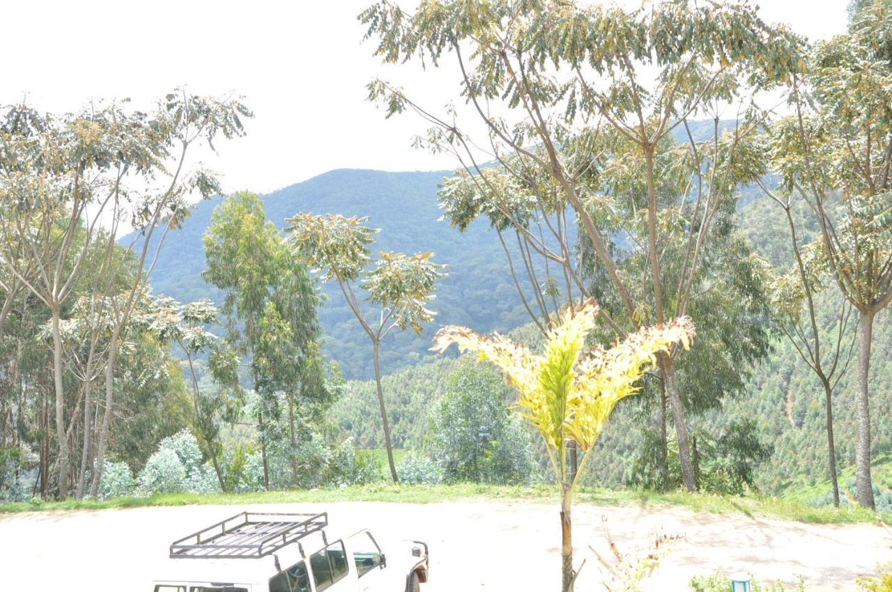 Nyungwe Nziza Ecolodge Kitabi Buitenkant foto