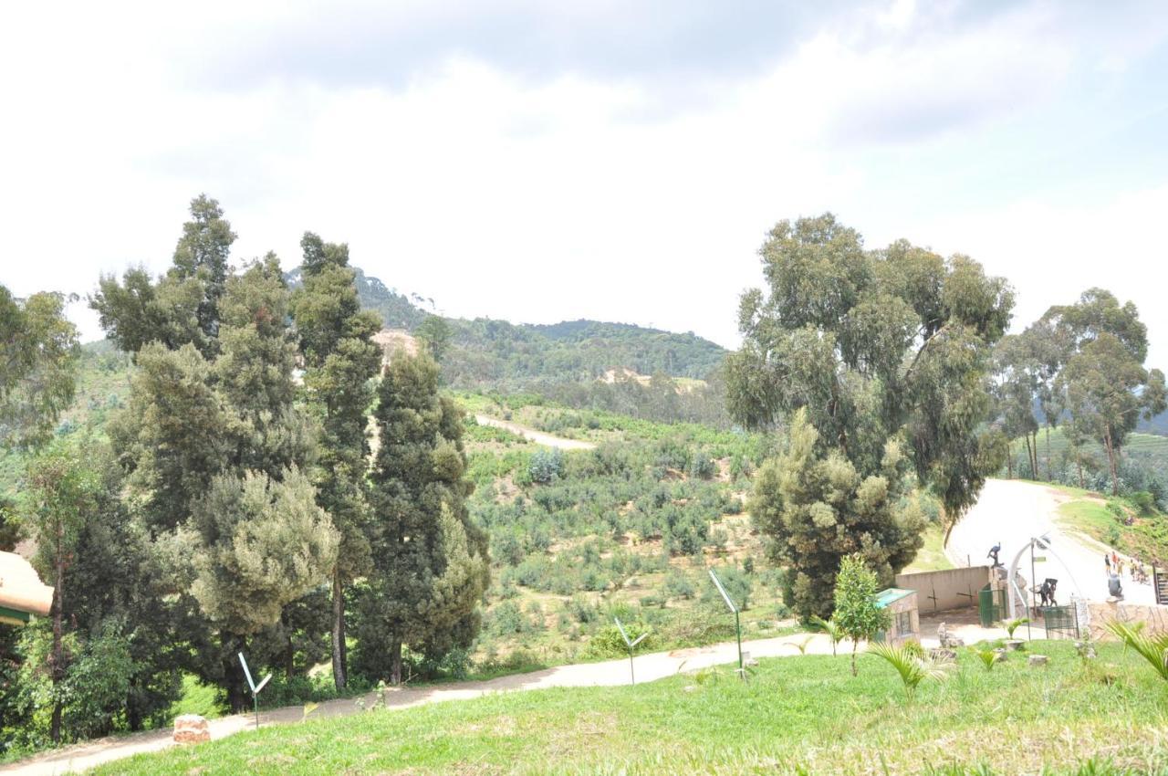 Nyungwe Nziza Ecolodge Kitabi Buitenkant foto