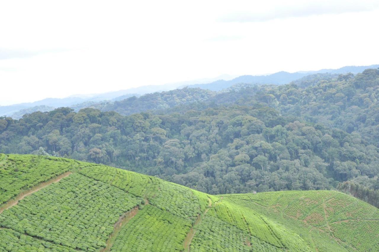 Nyungwe Nziza Ecolodge Kitabi Buitenkant foto