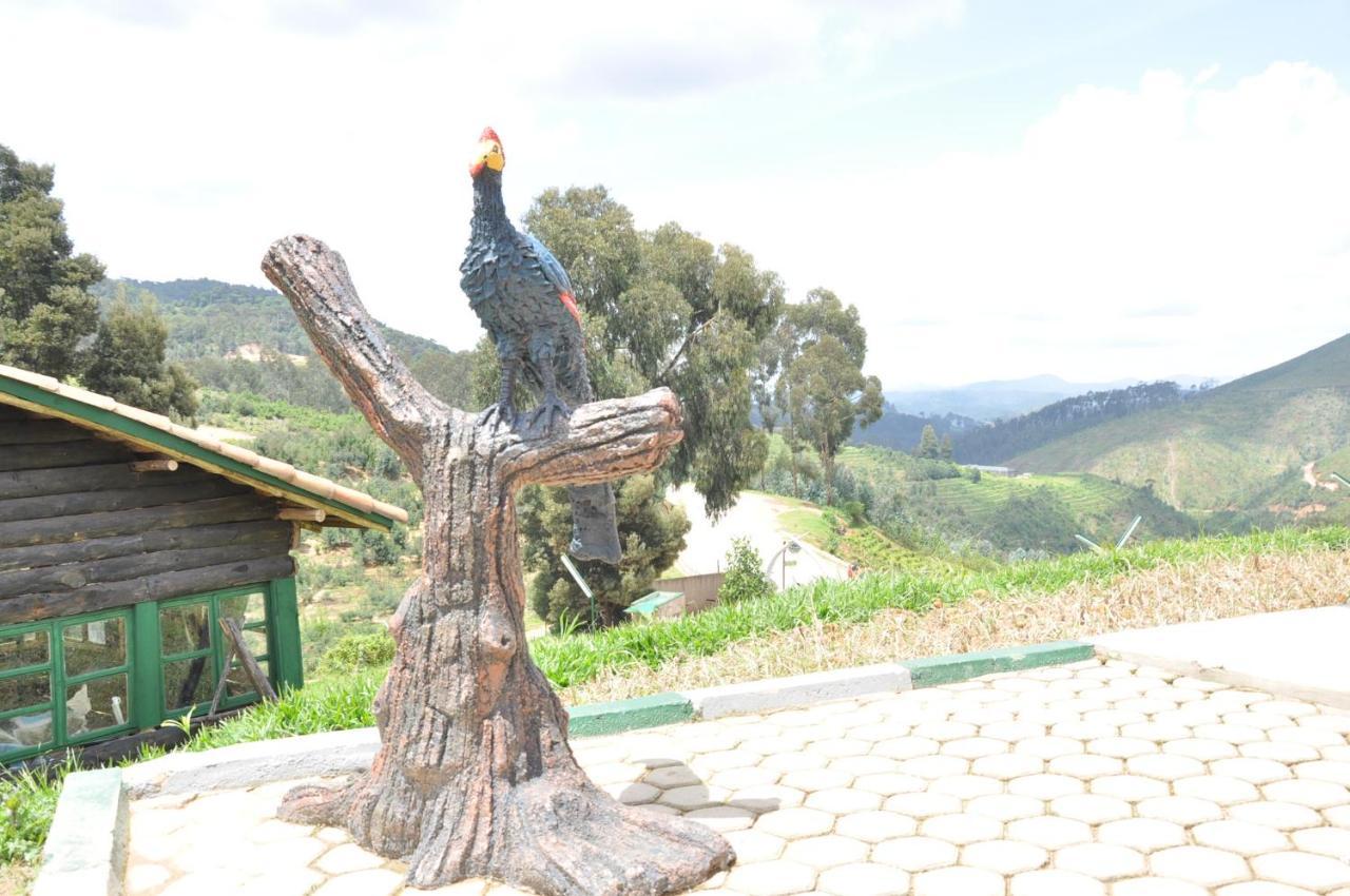 Nyungwe Nziza Ecolodge Kitabi Buitenkant foto